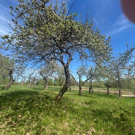 Swietokrzyski Klimacik Bodzentyn エクステリア 写真